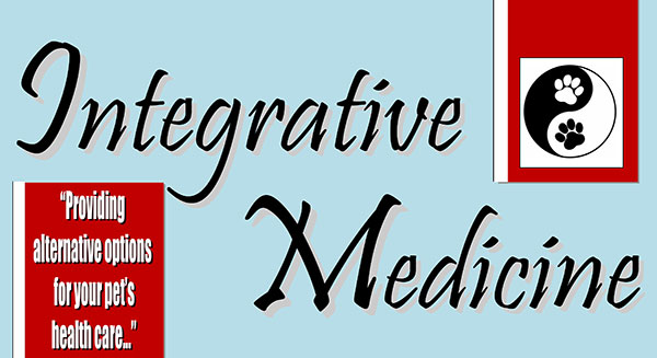 Integrative Veterinary Medicine My Pet s Animal Hospital Lakeland FL