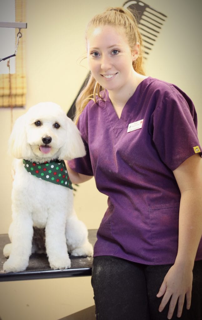 shelley grooming 2019 Pampered Paws - My Pets Animal Hospital Lakeland